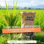 El Ministerio de Agricultura, Ganadería y Pesca implementó el uso obligatorio de marbete seguro para 14 semillas en Ecuador